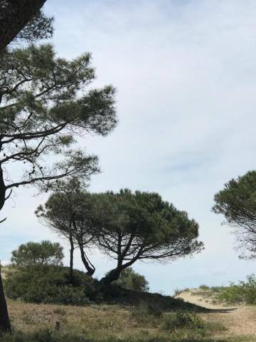 Oh! Campings - La Tamarissiere Agde Kültér fotó