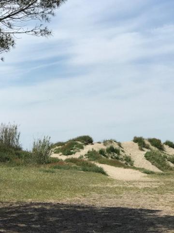 Oh! Campings - La Tamarissiere Agde Kültér fotó